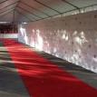 Step and Repeat along tent red carpet