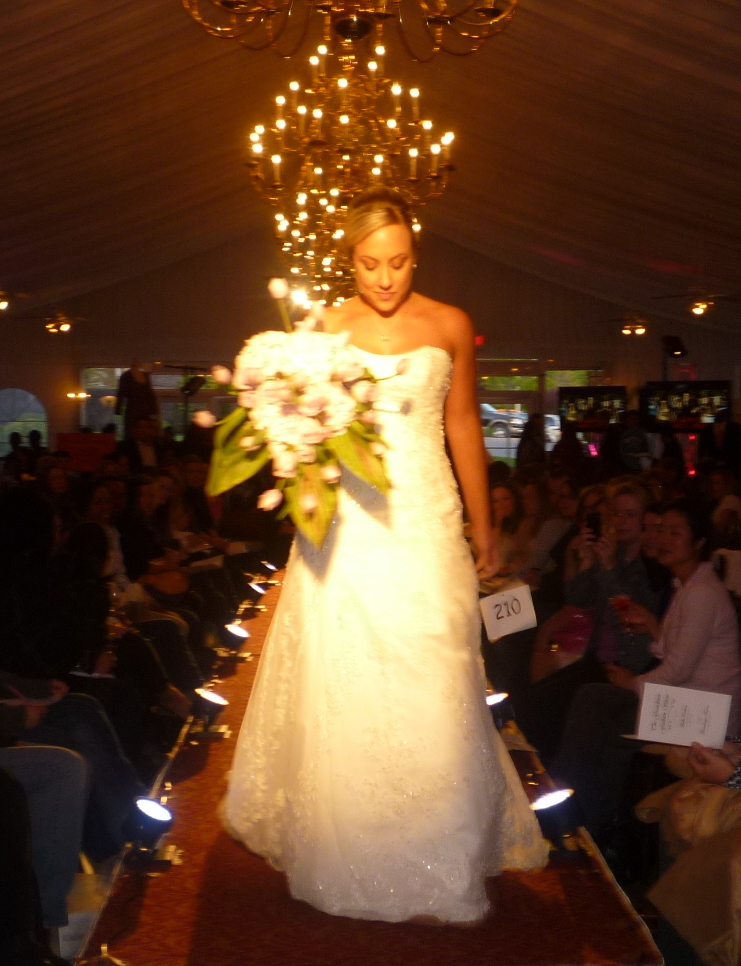 Bridal Show Runway lighting