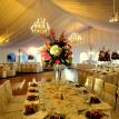 Centerpiece pin spots