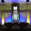 "A Midsummer Night's Dream" Wedding